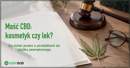 Baner artykułu z zielonym tytułem „Maść CBD: kosmetyk czy lek?" i logo Justbob; po prawej młotek sędziowski, dokumenty i liść konopi