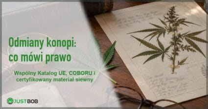 Baner artykułu z zielonym tytułem „Odmiany konopi: co mówi prawo” i logo Justbob; po prawej arkusz zielnika z zasuszoną konopią, liść konopi i lupa
