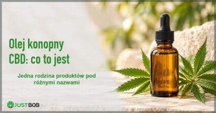Baner z zielonym tytułem „Olej konopny CBD” i logo Justbob; po prawej bursztynowa butelka olejku z pipetą i liście konopi