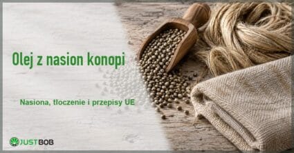 Baner z zielonym tytułem i logo Justbob; po prawej nasiona konopi wysypane z drewnianej łopatki obok zwoju włókna