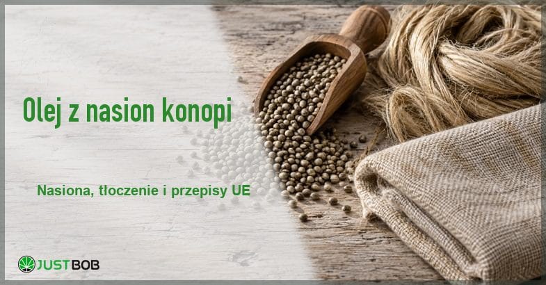 olej-z-nasion-konopi-nasiona-baner Baner z zielonym tytułem i logo Justbob; po prawej nasiona konopi wysypane z drewnianej łopatki obok zwoju włókna