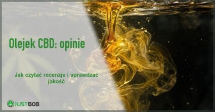 Baner artykułu z zielonym tytułem i logo Justbob, w tle złocisty olejek CBD wirujący w przezroczystej wodzie