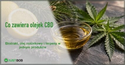 Baner artykułu z zielonym tytułem i logo Justbob; w tle po lewej cytryna, po prawej miseczka oleju i liście konopi
