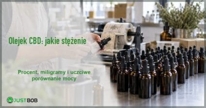 Baner artykułu z zielonym tytułem i logo Justbob, w tle pracownia konfekcjonowania z rzędami ciemnych buteleczek olejku CBD i rolką etykiet